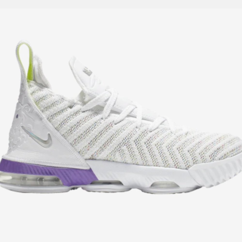 Nike Lebron Shoes
